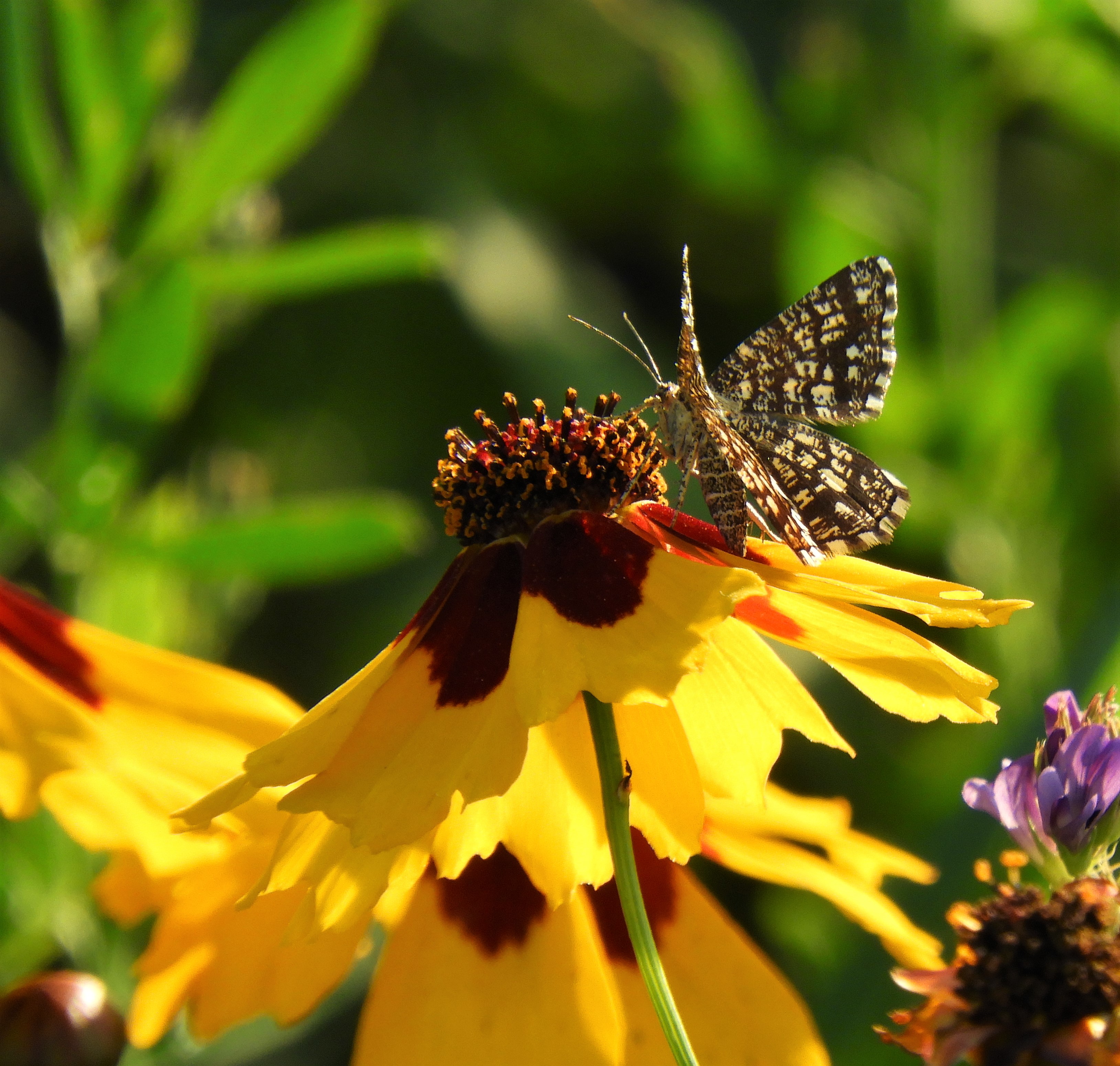 Ik heb geen idee....help!